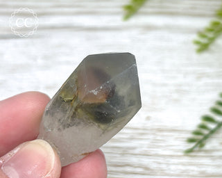 Grey Phantom Quartz Point #6