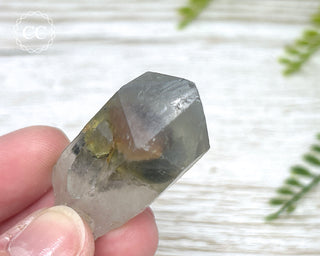 Grey Phantom Quartz Point #6