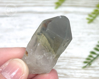 Grey Phantom Quartz Point #6