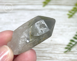 Grey Phantom Quartz Point #6