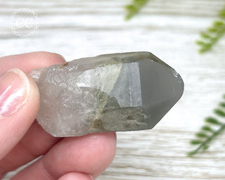 Grey Phantom Quartz Point #6