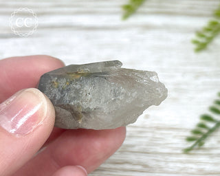 Grey Phantom Quartz Point #6