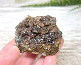 Grossular Garnet with Chlorite #1