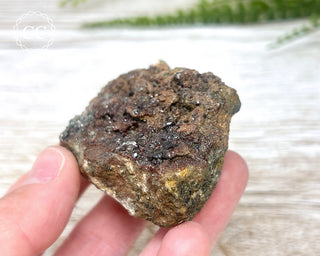 Grossular Garnet with Chlorite #1