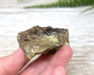 Grossular Garnet with Chlorite #1