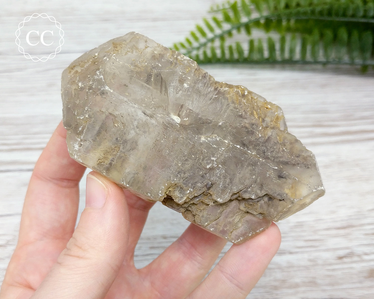 Gypsum Crystals