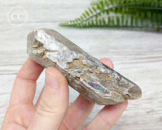 Gypsum Tabular Crystal #14