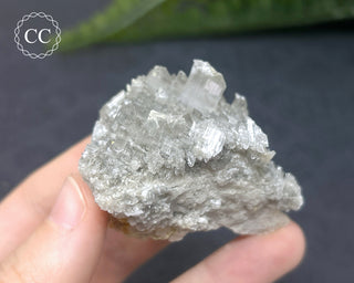 Gypsum Specimen - Muculufa Mine #1