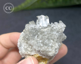 Gypsum Specimen - Muculufa Mine #1