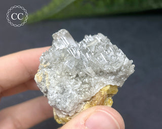 Gypsum Specimen - Muculufa Mine #1