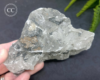 Gypsum Specimen #4