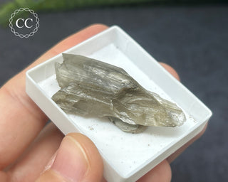 Gypsum Specimen - Sardinia #2