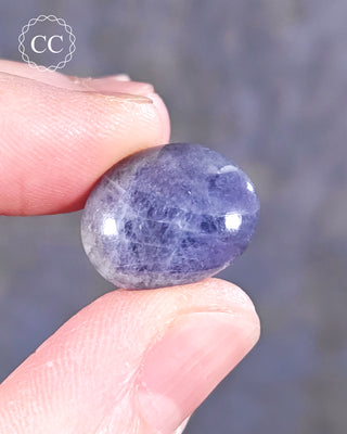 A hand holding a Hackmanite polished pebble 