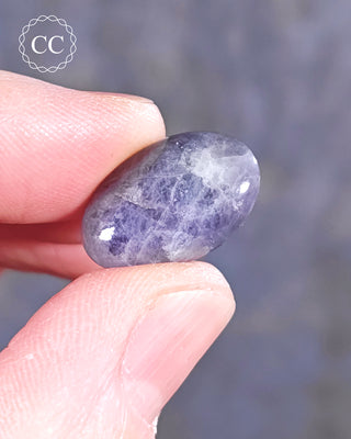 A hand holding a Hackmanite polished pebble 