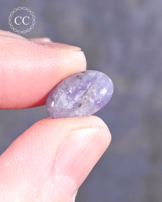 A hand holding a Hackmanite polished pebble 