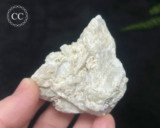 Hackmanite Specimen #6