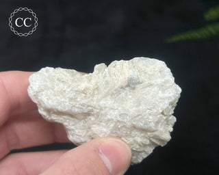 Hackmanite Specimen #6