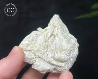 Hackmanite Specimen #6