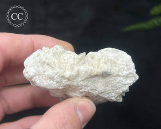 Hackmanite Specimen #6