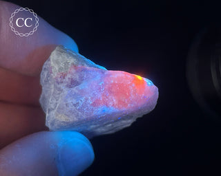 Hackmanite Specimen #3