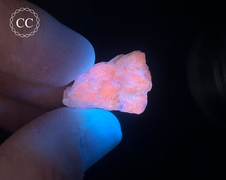 Hackmanite Specimen #4
