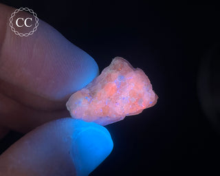 Hackmanite Specimen #4