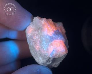 Hackmanite Specimen #5