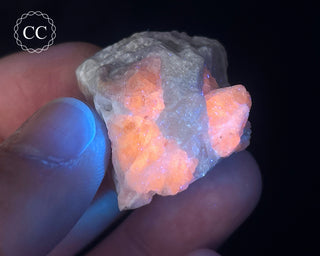 Hackmanite Specimen #5