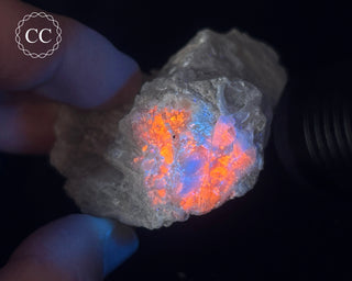 Hackmanite Specimen #6