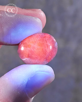 Hackmanite Polished #2