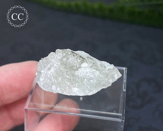 Hackmanite Specimen #20
