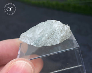 Hackmanite Specimen #20