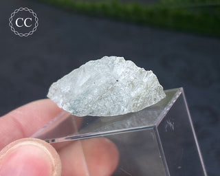 Hackmanite Specimen #20