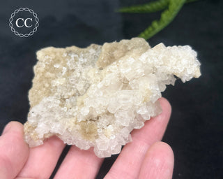 Halite Cluster #1