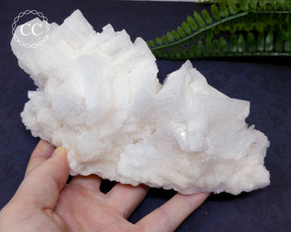 Cubic Halite Cluster - Namibia #2