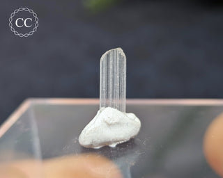 Hambergite Crystal #1