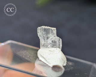 Hambergite Crystal #3