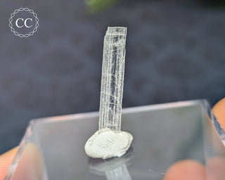 Hambergite Crystal #4