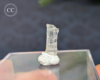 Hambergite Crystal #5