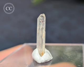 Hambergite Crystal #6