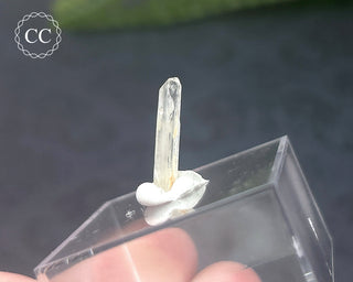 Hambergite Crystal #6