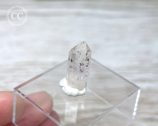 Harlequin Goboboseb (Brandberg) Quartz #33