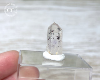 Harlequin Goboboseb (Brandberg) Quartz #33