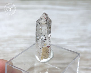 Harlequin Goboboseb (Brandberg) Quartz #30