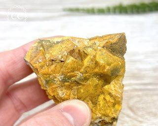 Hatteral Specimen #2