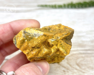 Hatteral Specimen #2