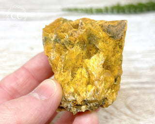 Hatteral Specimen #2