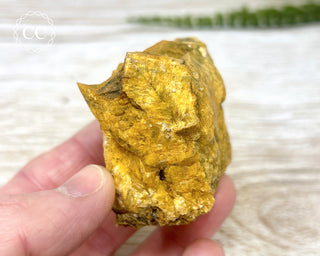 Hatteral Specimen #2