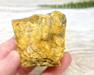 Hatteral Specimen #2