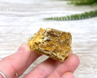 Hatteral Specimen #2